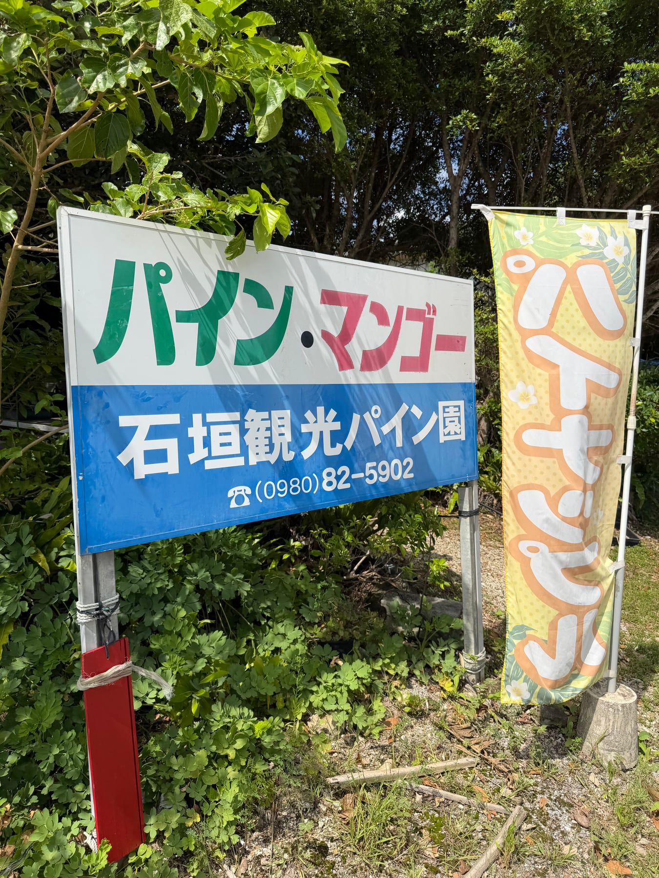 石垣観光パイン園のパインマンゴー看板